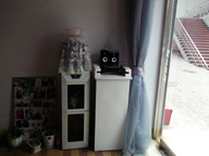 ����Ժת��[������������]