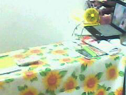 ��ױƷ��ת��[�����³���]